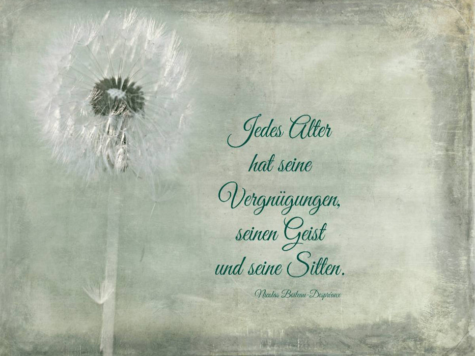 Jedes Alter hat seine Reize - CALVENDO Foto-Puzzle'