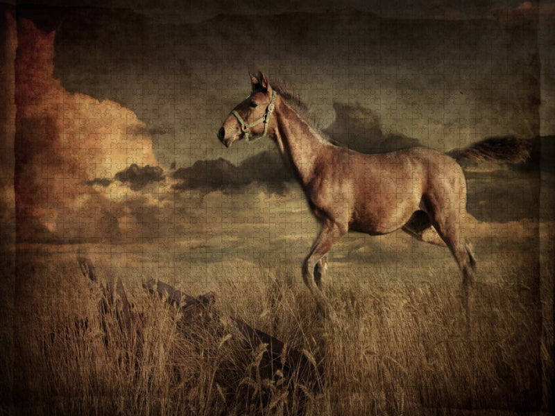 Auf dem Rücken der Pferde - CALVENDO Foto-Puzzle'