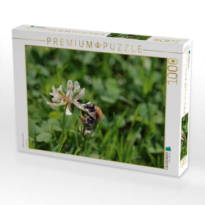 Ackerhummel am Klee - CALVENDO Foto-Puzzle'