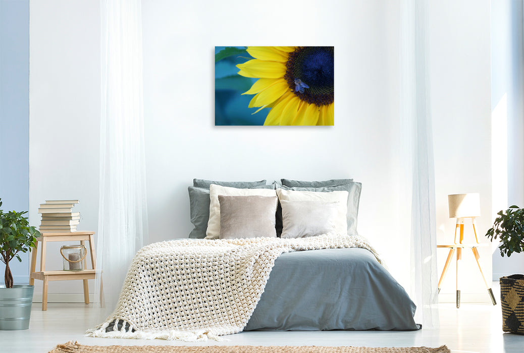 Premium Textil-Leinwand Premium Textil-Leinwand 120 cm x 80 cm quer Honigbiene auf Sonnenblumenblüte