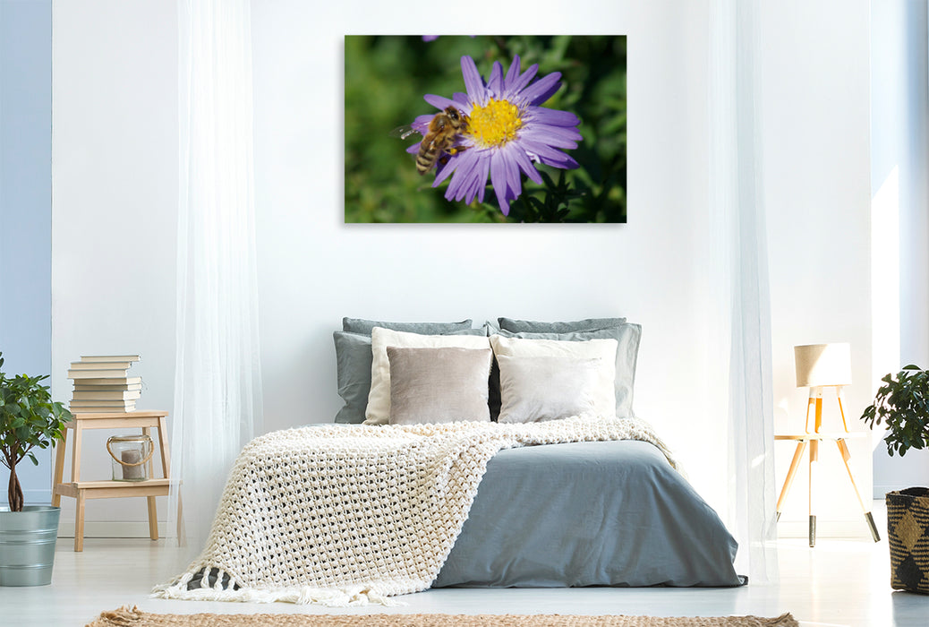 Toile textile premium Toile textile premium 120 cm x 80 cm paysage abeille sur aster violet 