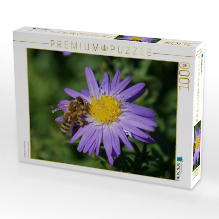 Honigbiene auf lila Aster - CALVENDO Foto-Puzzle'