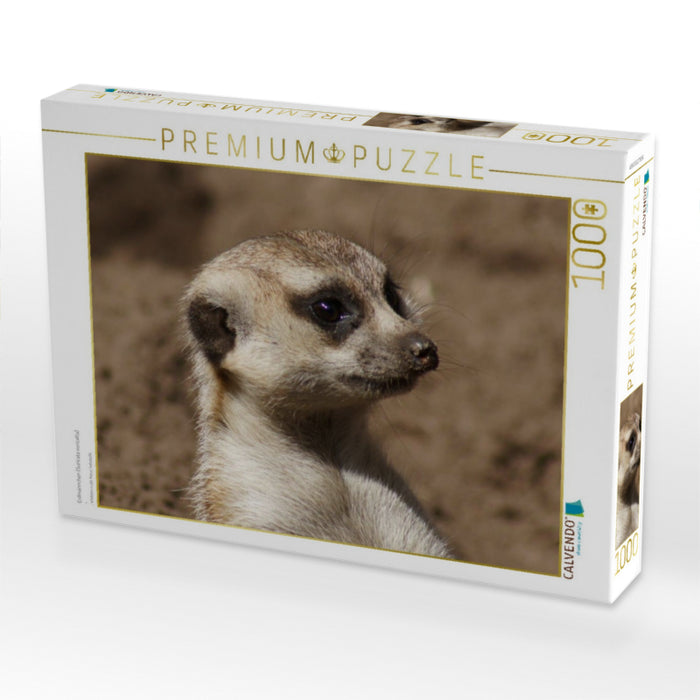 Erdmännchen (Suricata suricatta) - CALVENDO Foto-Puzzle'