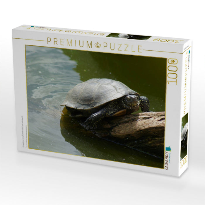 Europäische Sumpfschildkröte (Emys orbicularis) - CALVENDO Foto-Puzzle'