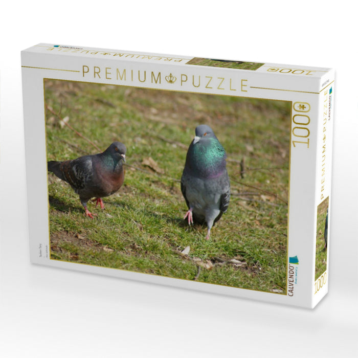Tauben Tanz - CALVENDO Foto-Puzzle'