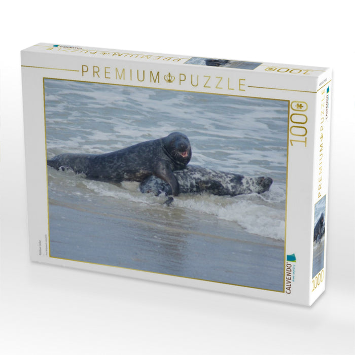 Robben Liebe - CALVENDO Foto-Puzzle'