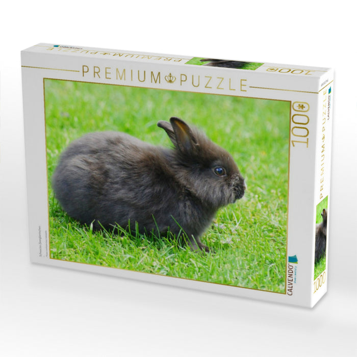 Schwarzes Zwergkaninchen - CALVENDO Foto-Puzzle'