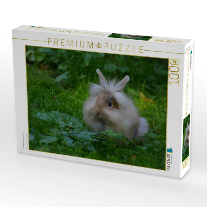Langhaar Zwergkaninchen - CALVENDO Foto-Puzzle'