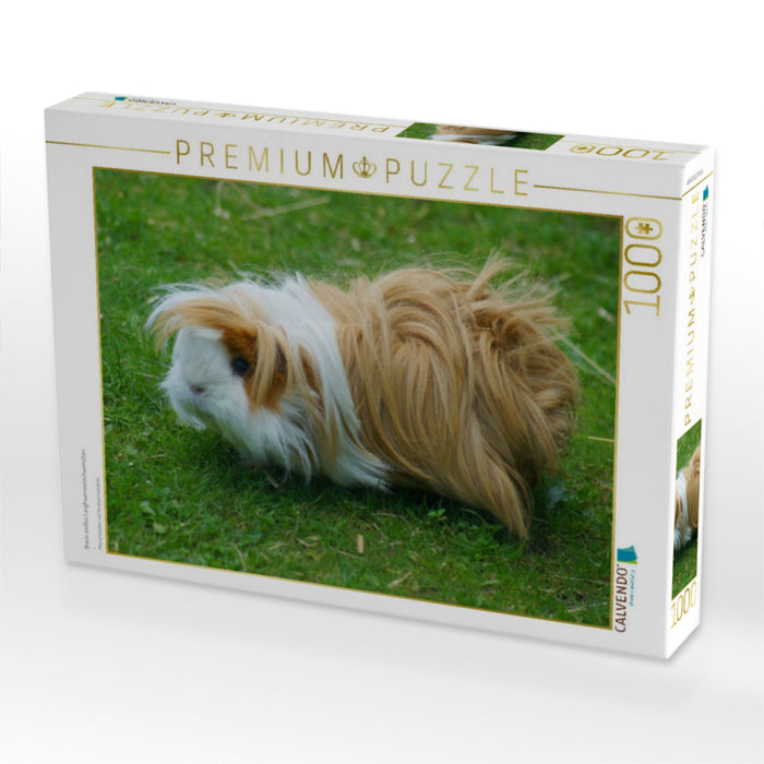 Braun weißes Langhaarmeerschweinchen - CALVENDO Foto-Puzzle'