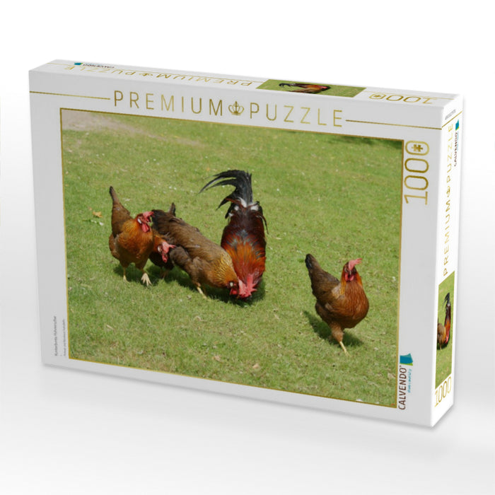Kunterbunte Hühnerschar - CALVENDO Foto-Puzzle'