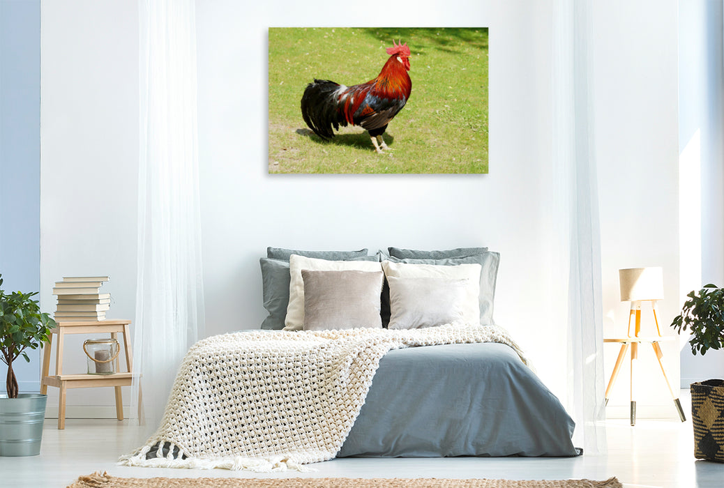 Premium textile canvas Premium textile canvas 120 cm x 80 cm landscape Proud rooster 