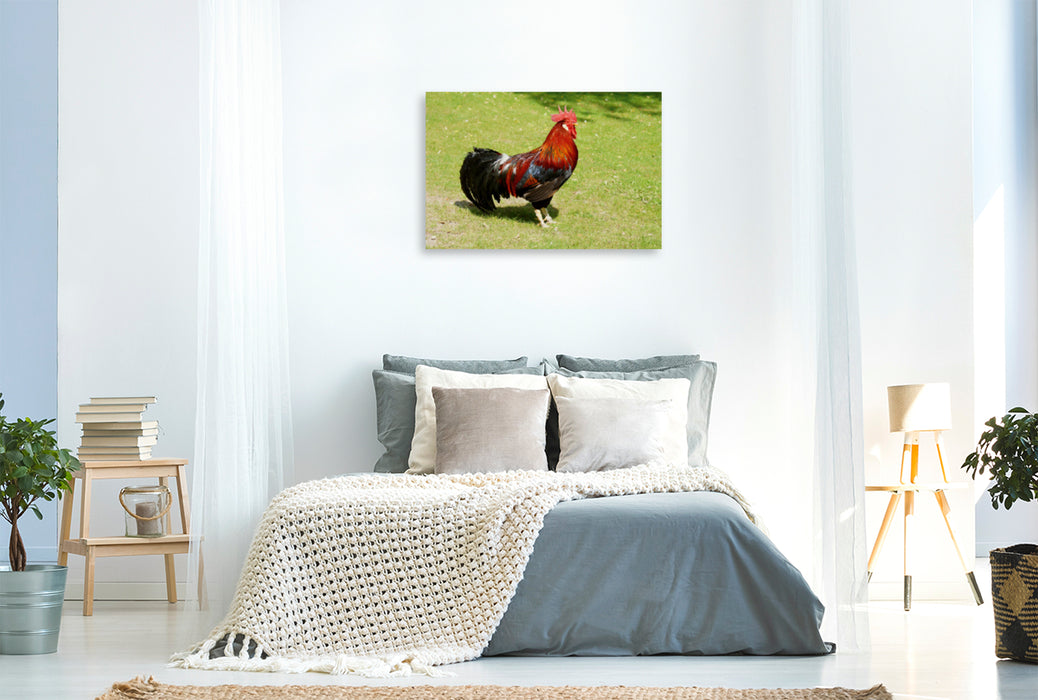 Premium textile canvas Premium textile canvas 120 cm x 80 cm landscape Proud rooster 