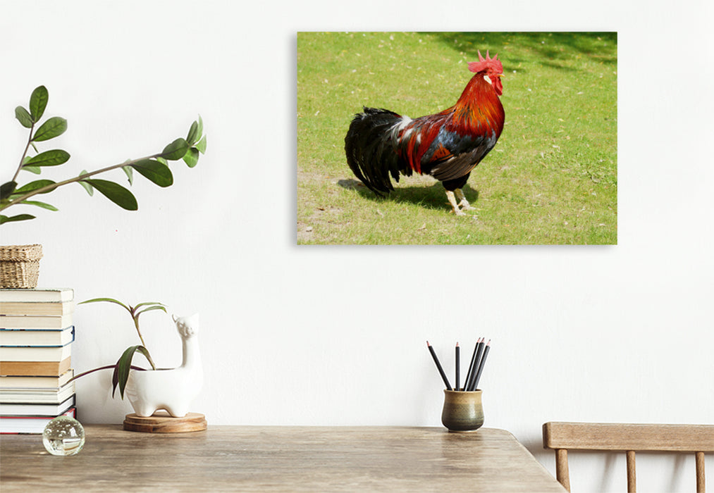 Premium textile canvas Premium textile canvas 120 cm x 80 cm landscape Proud rooster 