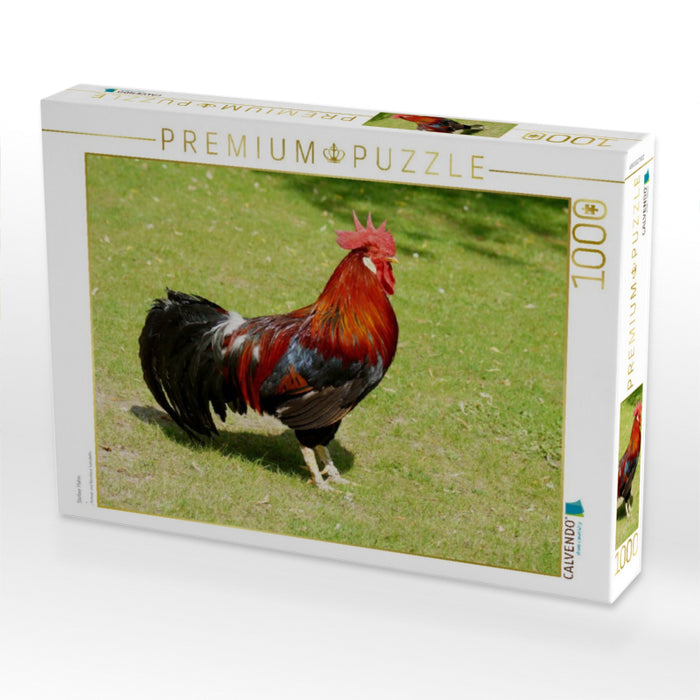 Stolzer Hahn - CALVENDO Foto-Puzzle'