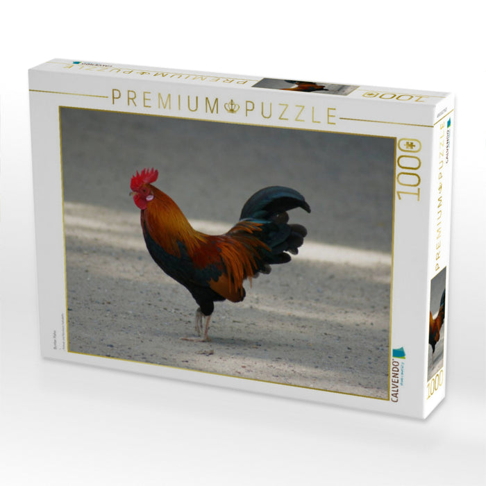 Bunter Hahn - CALVENDO Foto-Puzzle'