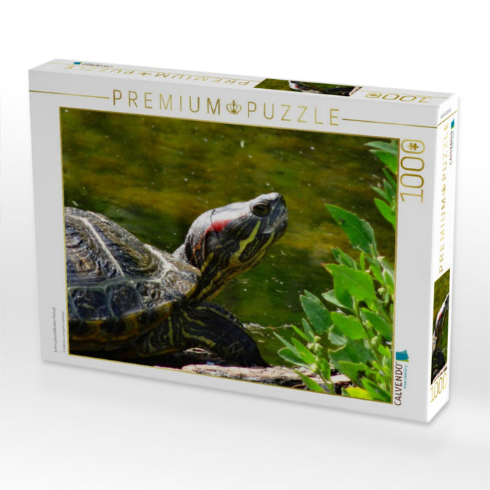 Schmuckschildkröten Portrait - CALVENDO Foto-Puzzle'