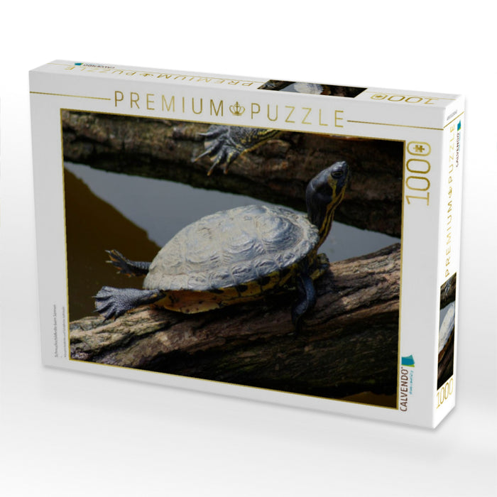 Schmuckschildkröte beim Sonnen - CALVENDO Foto-Puzzle'