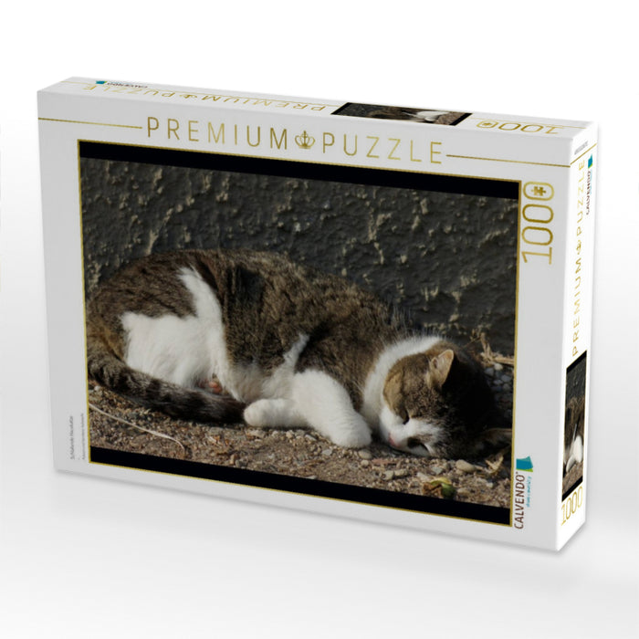 Schlafende Hauskatze - CALVENDO Foto-Puzzle'