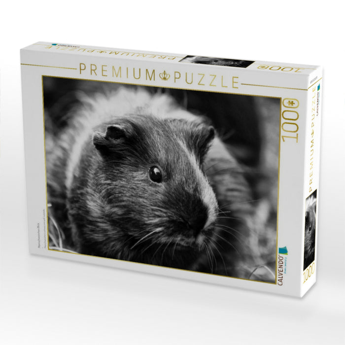 Meerschweinchen Blick - CALVENDO Foto-Puzzle'