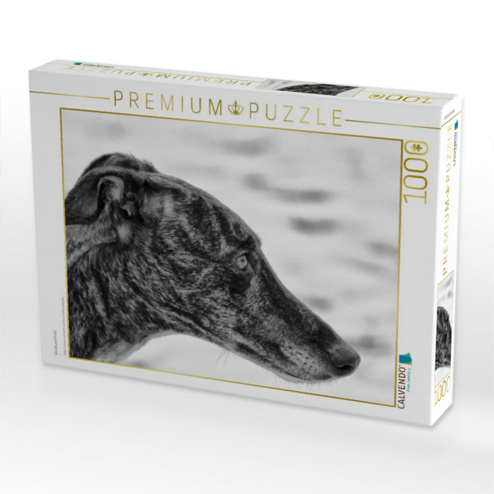 Windhund Profil - CALVENDO Foto-Puzzle'