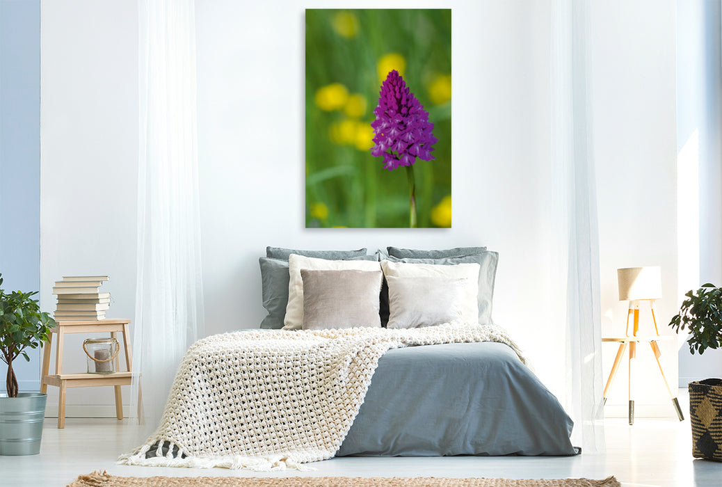 Premium Textil-Leinwand Premium Textil-Leinwand 80 cm x 120 cm  hoch Ein Motiv aus dem Kalender Zauber der Natur - Heimische Orchideen und Wiesenblumen