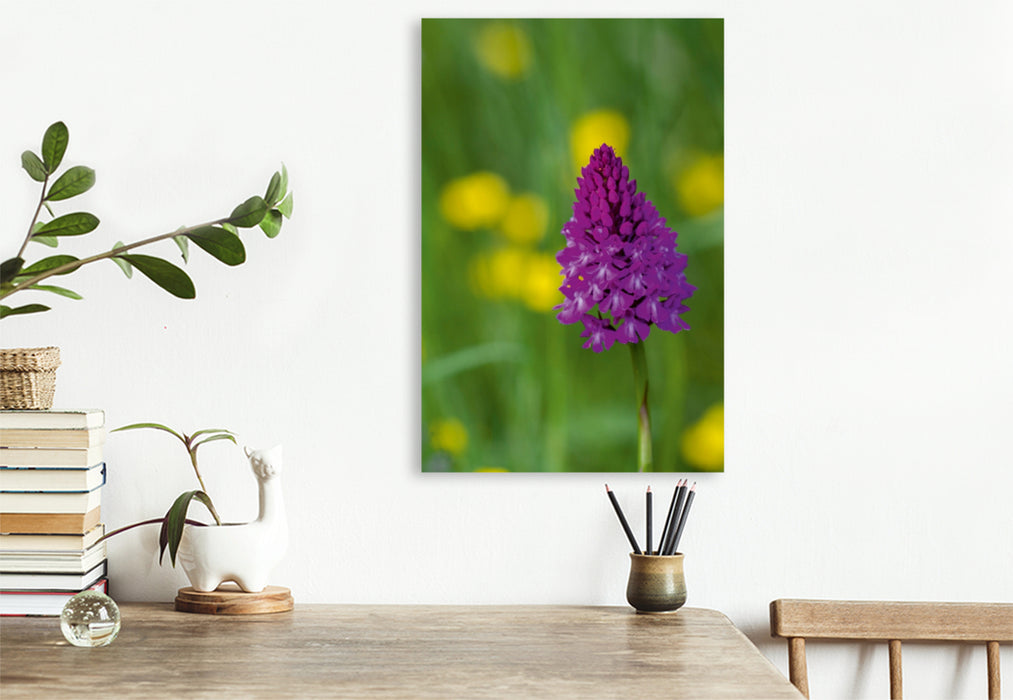 Premium Textil-Leinwand Premium Textil-Leinwand 80 cm x 120 cm  hoch Ein Motiv aus dem Kalender Zauber der Natur - Heimische Orchideen und Wiesenblumen