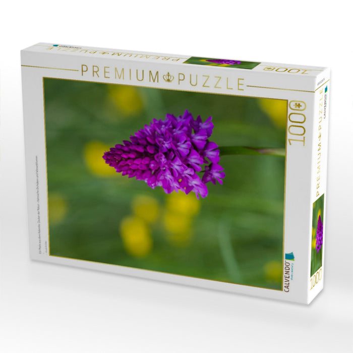 Ein Motiv aus dem Kalender Zauber der Natur - Heimische Orchideen und Wiesenblumen - CALVENDO Foto-Puzzle'
