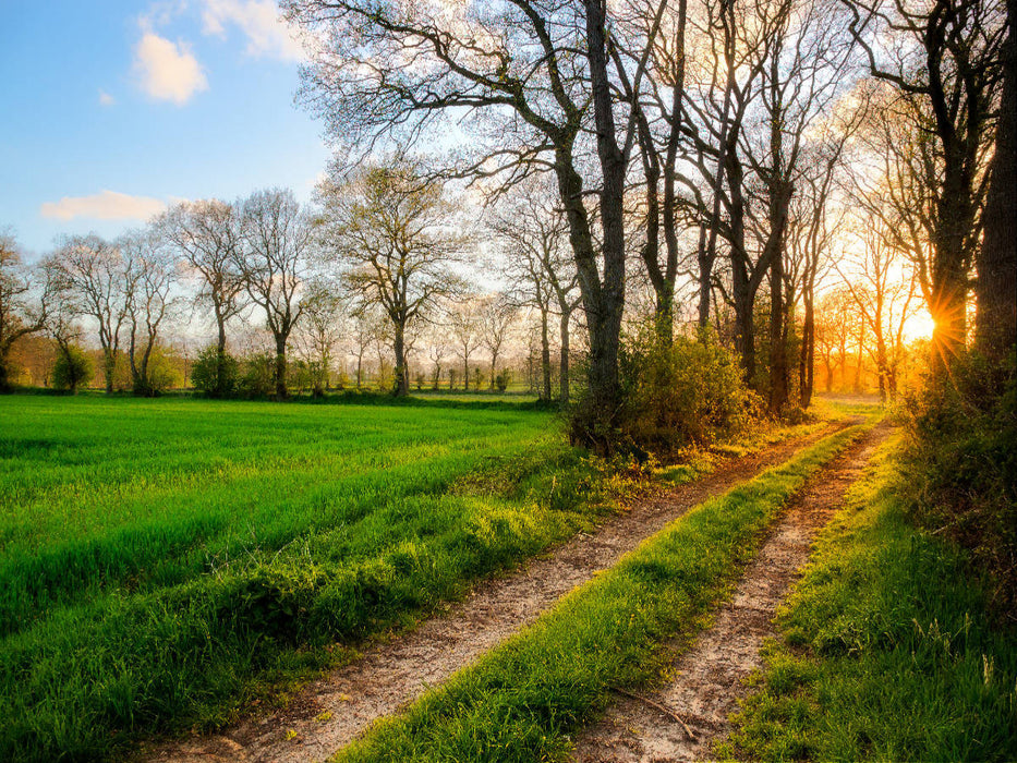 Sonnenaufgang in Ockenhausen - CALVENDO Foto-Puzzle'