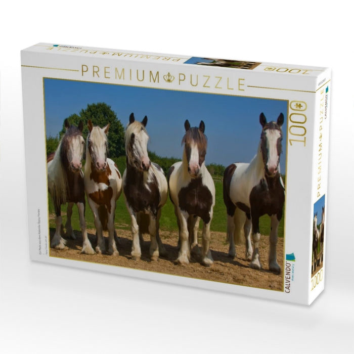 Ein Motiv aus dem Kalender Gypsy Horses - CALVENDO Foto-Puzzle'