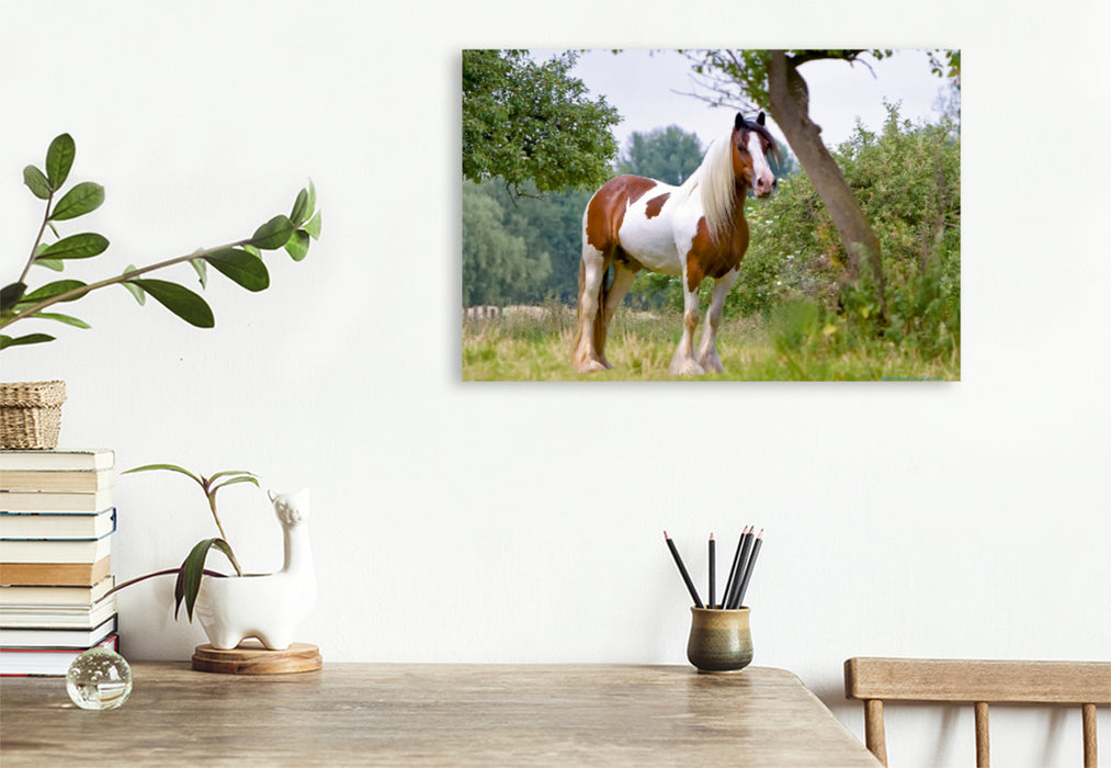 Premium Textil-Leinwand Premium Textil-Leinwand 90 cm x 60 cm quer Ein Motiv aus dem Kalender Gypsy Horses