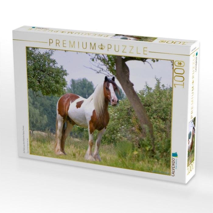 Ein Motiv aus dem Kalender Gypsy Horses - CALVENDO Foto-Puzzle'