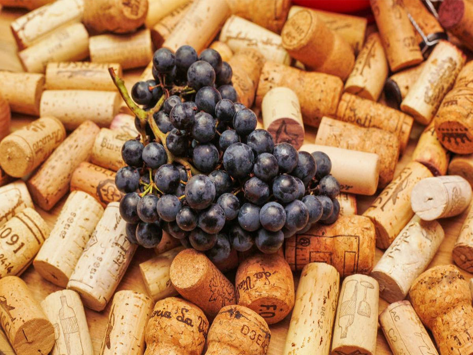 Wein - CALVENDO Foto-Puzzle'