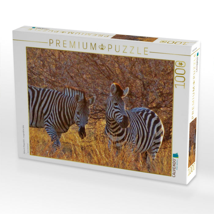 Zebras im Morgenlicht - morgendliche Safai - CALVENDO Foto-Puzzle'