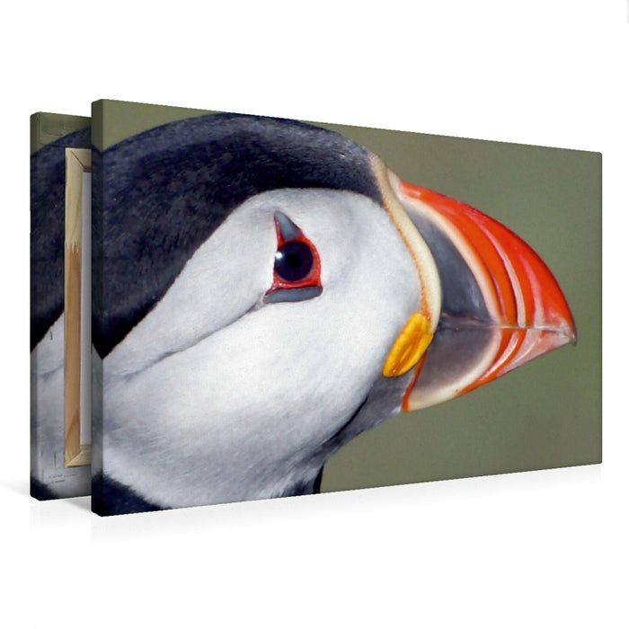 Premium Textil-Leinwand Papageientaucher Island