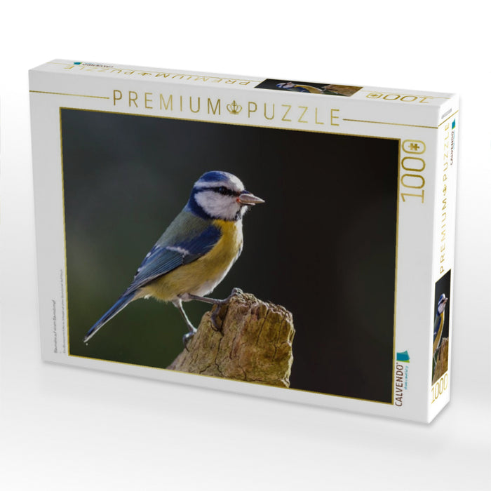 Blaumeise auf einem Baumstumpf - CALVENDO Foto-Puzzle'