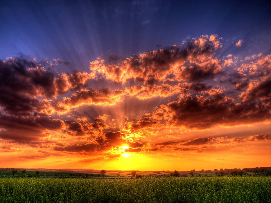 Strahlendes Licht - CALVENDO Foto-Puzzle'