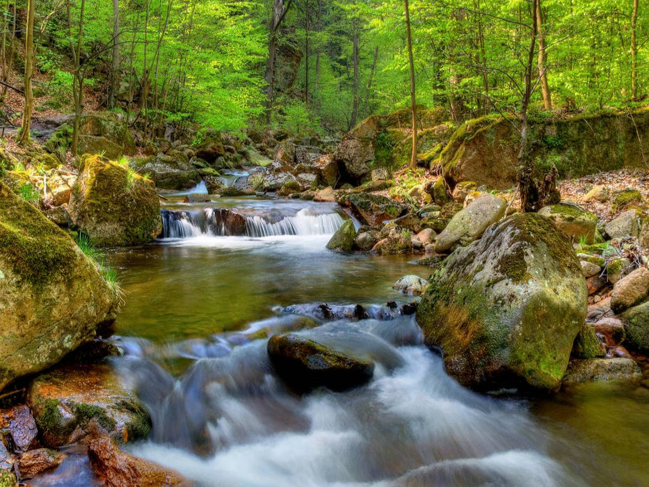 Ilsetal bei Ilsenburg - CALVENDO Foto-Puzzle'