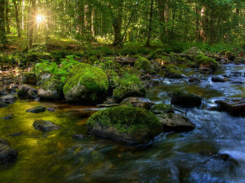 Ein Bach im Harz - CALVENDO Foto-Puzzle'