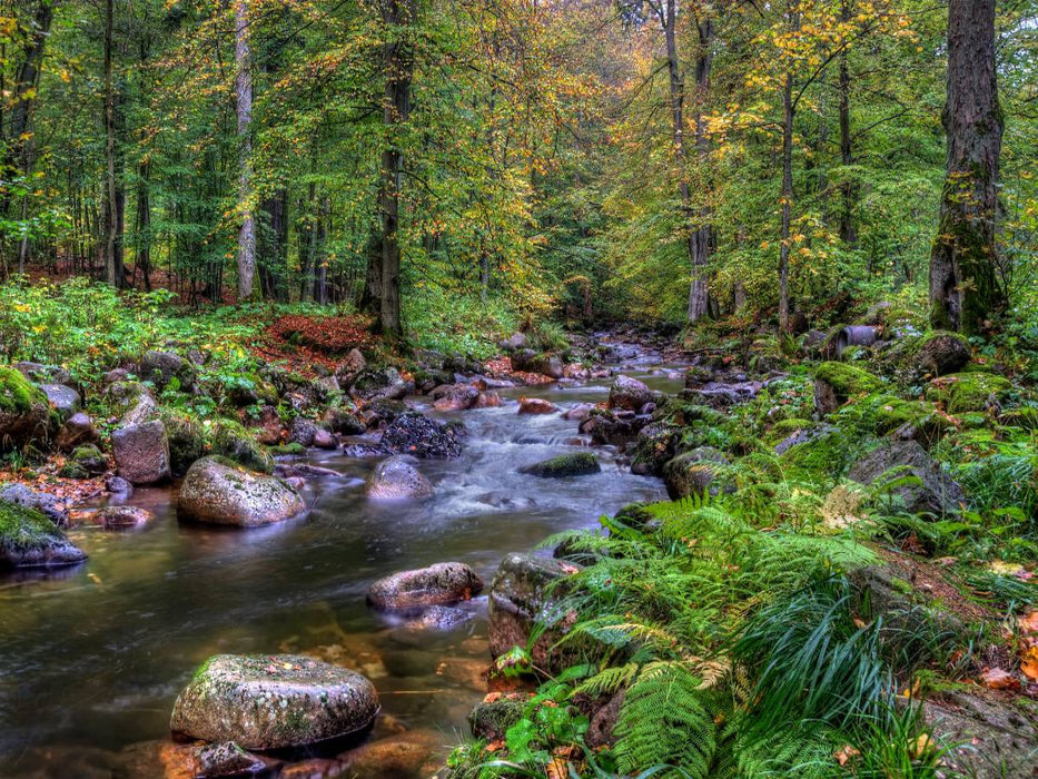Elendtal bei Schierke - CALVENDO Foto-Puzzle'