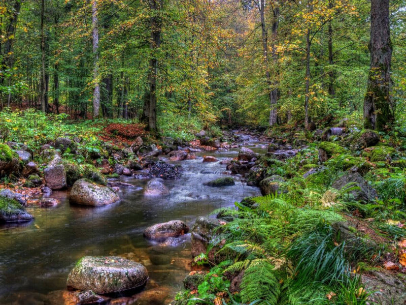 Elendtal bei Schierke - CALVENDO Foto-Puzzle'
