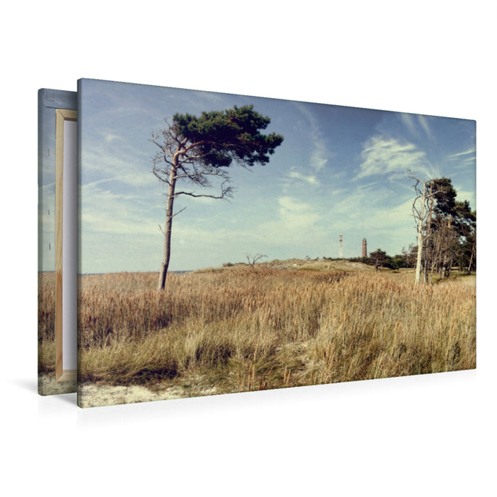 Premium Textil-Leinwand Prerow Weststrand