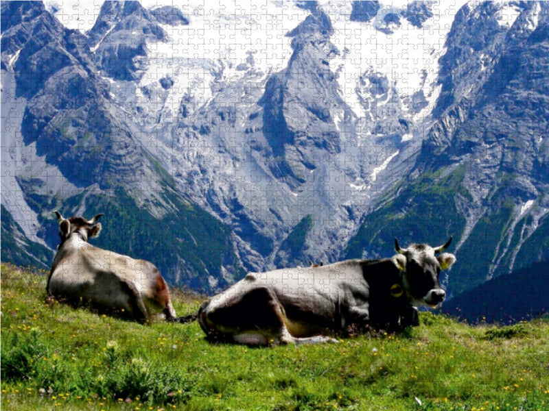 Kühe vor atemberaubender Kulisse 1000 Teile Puzzle quer - CALVENDO Foto-Puzzle'