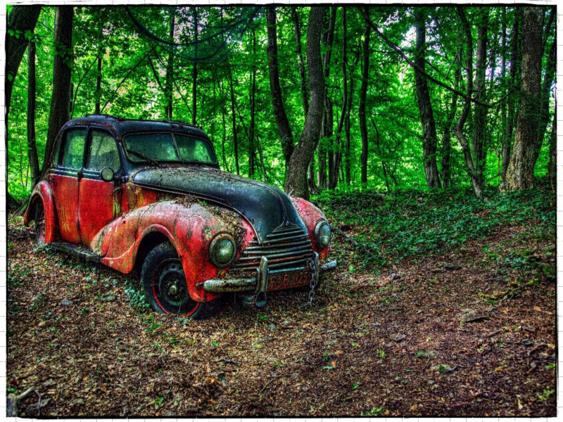 BMW - verlassener im Wald - CALVENDO Foto-Puzzle'
