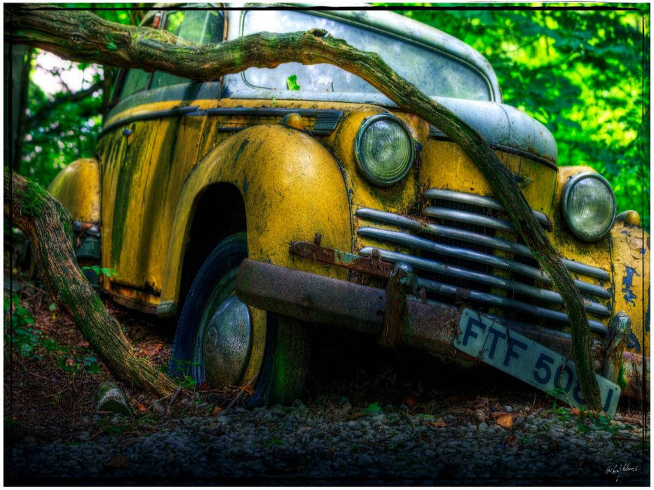 Verfangen - CALVENDO Foto-Puzzle'
