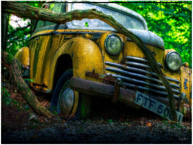 Verfangen - CALVENDO Foto-Puzzle'