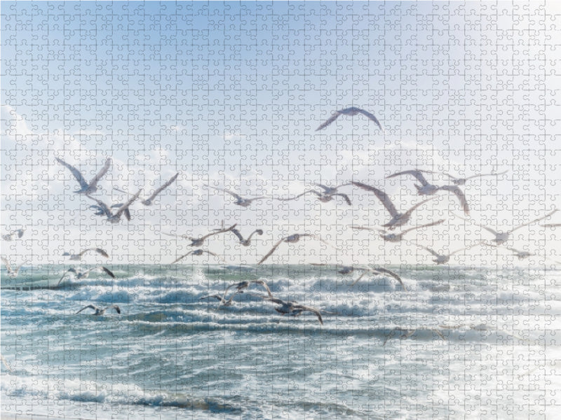 Ein Motiv aus dem Kalender Traum vom Fliegen - Poesie des Meeres 1000 Teile Puzzle quer - CALVENDO Foto-Puzzle'