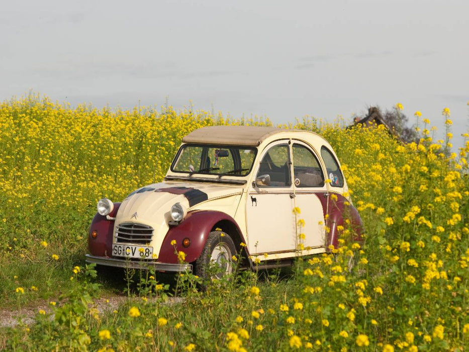 Kultautomobil Ente Citroën 2CV - CALVENDO Foto-Puzzle'