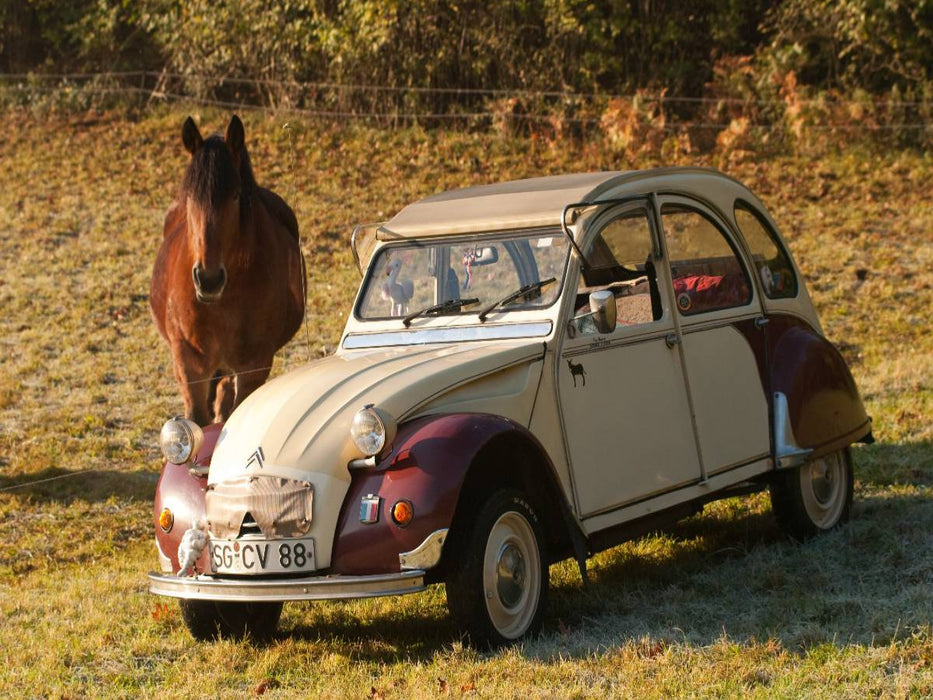 Citroën 2 CV Dolly mit Pferd - CALVENDO Foto-Puzzle'