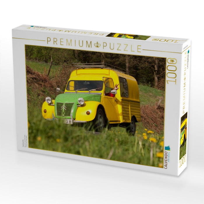 Kastenente - CALVENDO Foto-Puzzle'