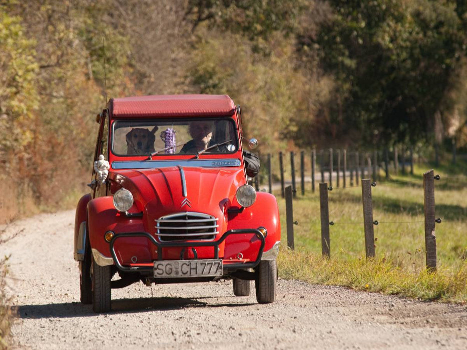 2CV 6 Club Bj.86 1.Hand - CALVENDO Foto-Puzzle'